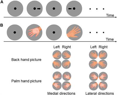 Age-Related Differences in Strategy in the Hand Mental Rotation Task